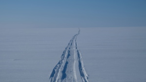 Tout droit : le pôle nord ! ©Bastien Ruols. All rights reserved.