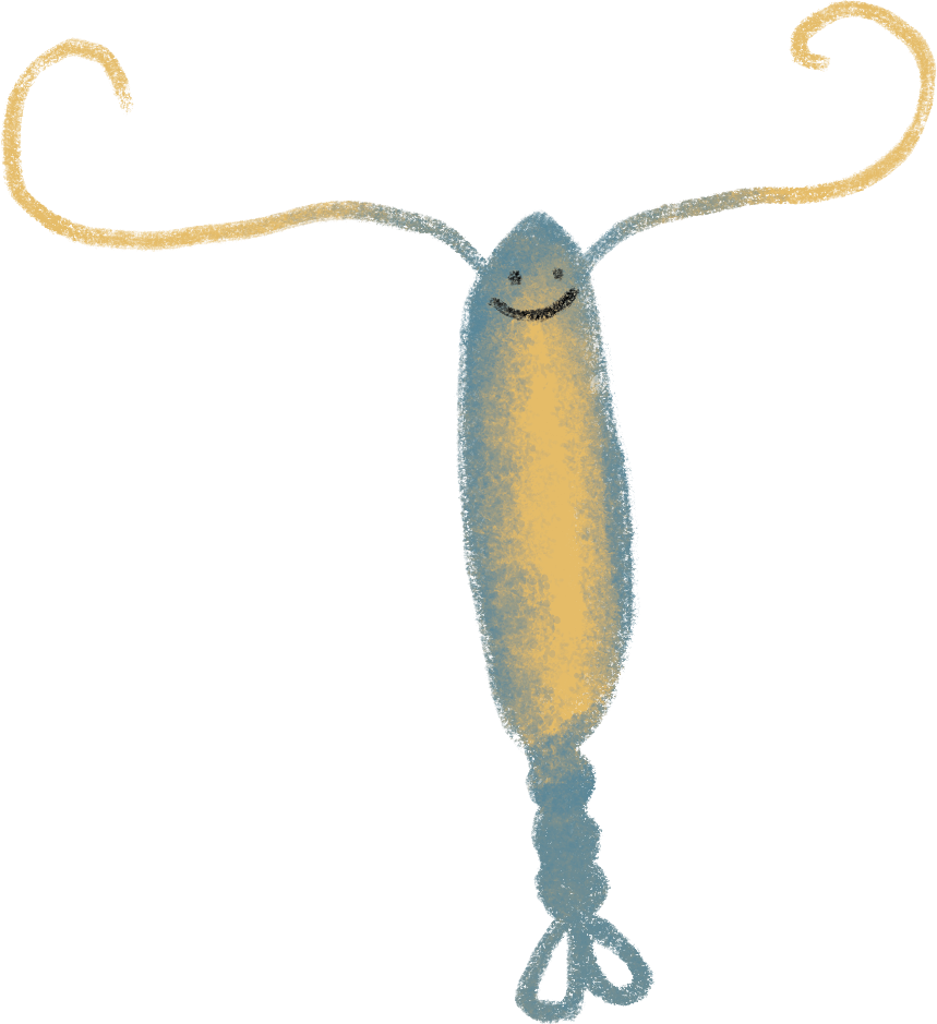 copepode