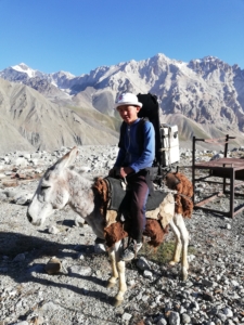 fieldwork help