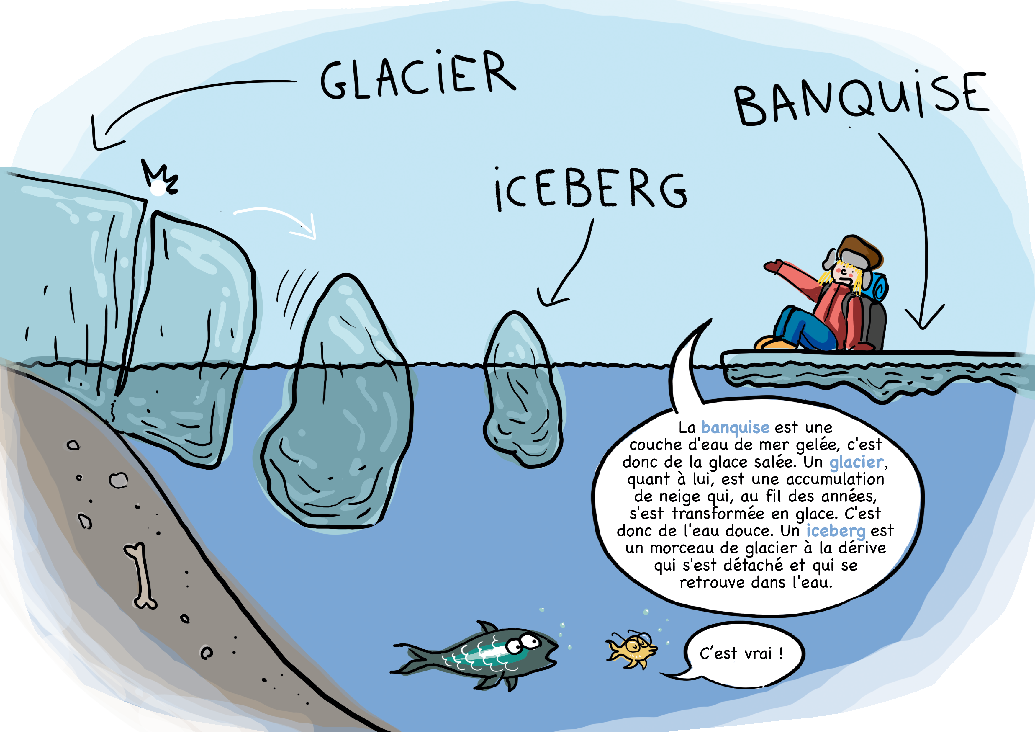 glace_exercice_reponses