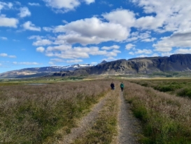 Erkundung von Feuchtgebieten und Sümpfen in Island. ©Laurel Thomas Arrigo. All rights reserved.