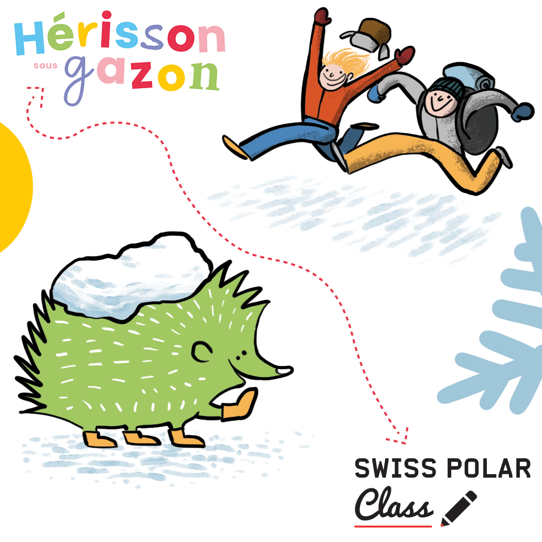 insta_herisson_sous insta_herisson_sous