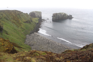 Que sont tous ces points ? Des manchots royaux dans une baie étroite, île Marion. ©Parafilms/EPFL, Photographer: Florian Brucker, CC BY-NC-SA 4.0