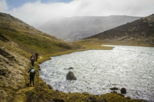 Des scientifiques à la recherche du bon endroit pour échantillonner sur l’île de la Possession. ©Parafilms/EPFL, Photographer: Florian Brucker, CC BY-NC-SA 4.0