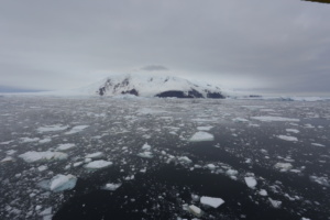 Au large de l’île Pierre 1er dans l’océan Austral. ©Parafilms/EPFL, Photographer: Noé Sardet, CC BY-NC-SA 4.0